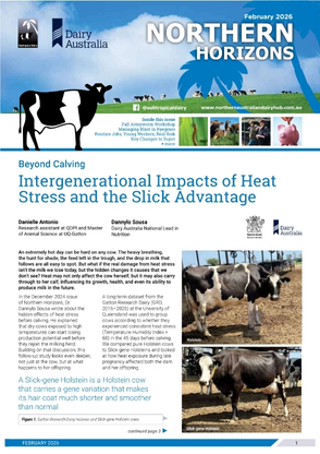 Northern Horizons - December 2025